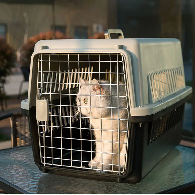 Customized Logo Airline Travel Pet Pet Cages With Handles Carrier Travel Kennel